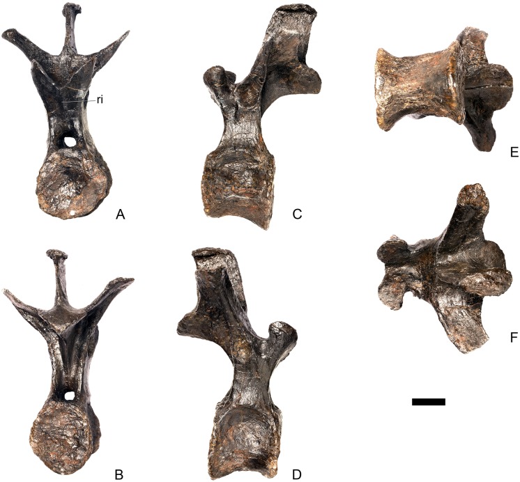 Fig 26