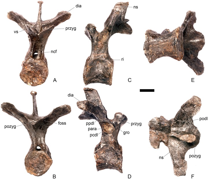 Fig 21