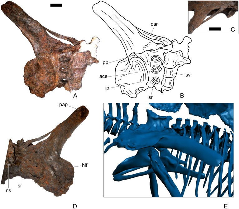 Fig 31