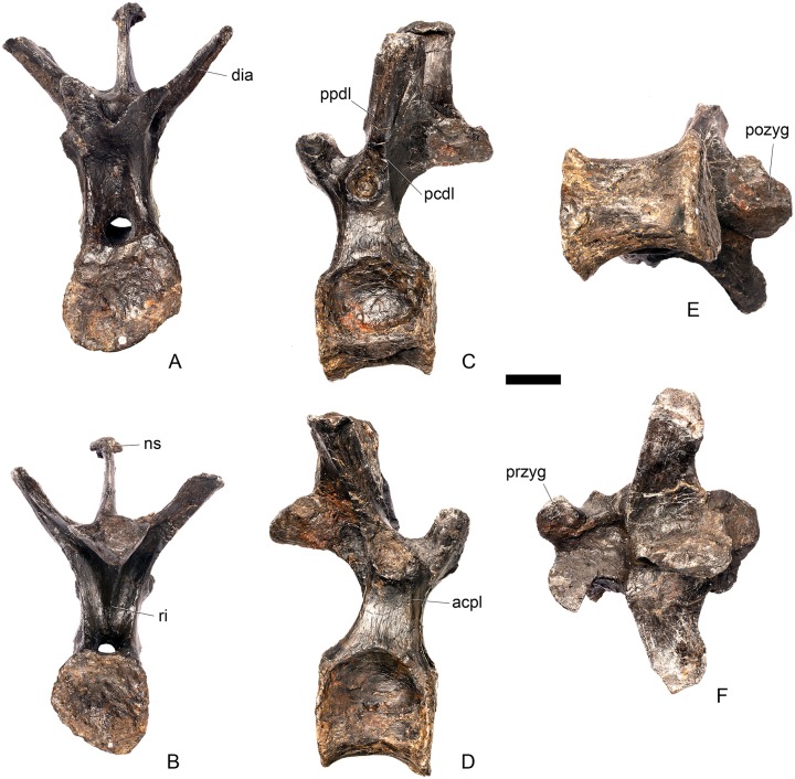 Fig 25