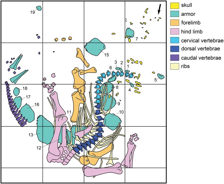 Fig 3