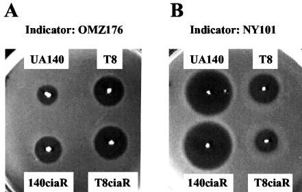 FIG. 2.