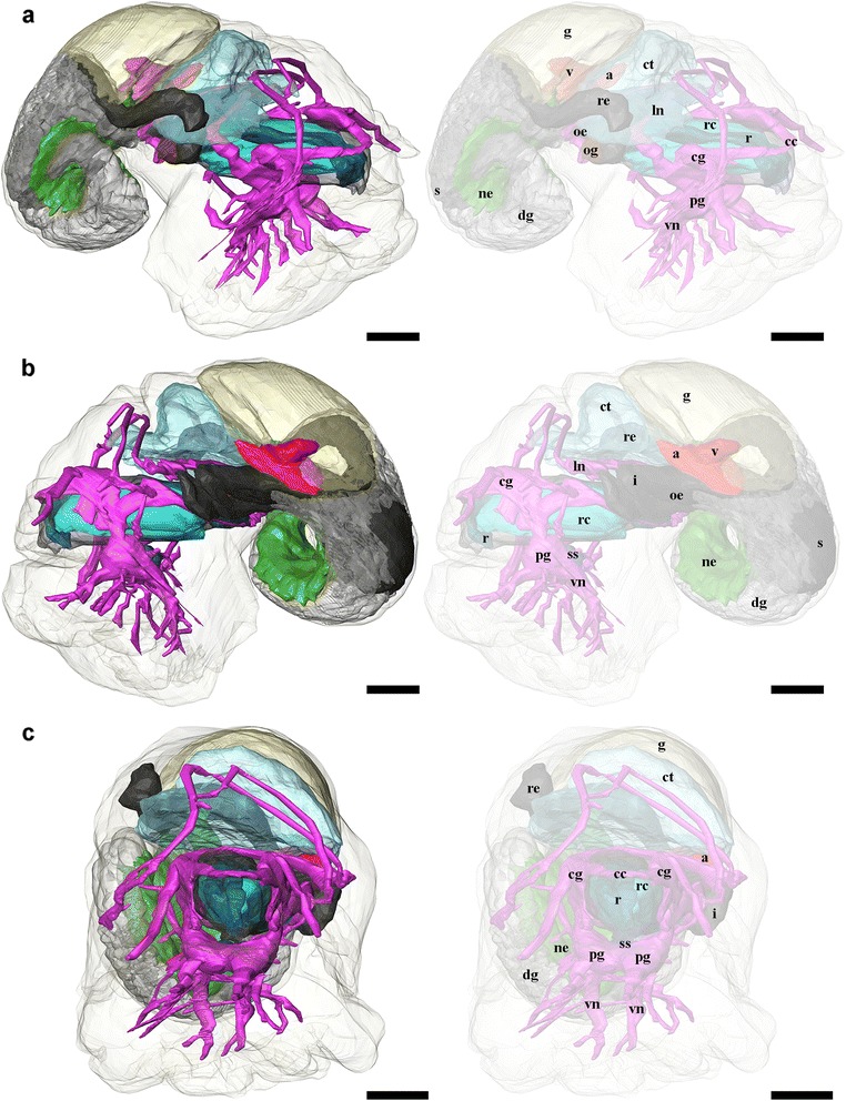 Fig. 9