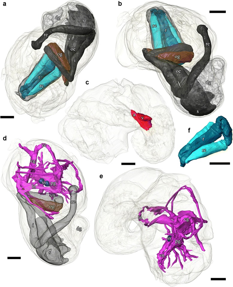 Fig. 10