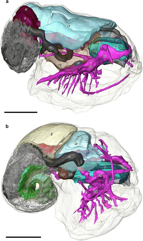 Fig. 3