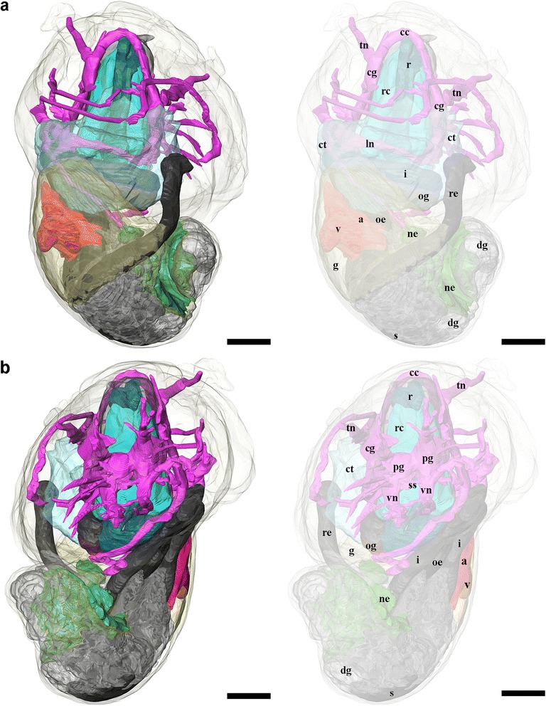 Fig. 8