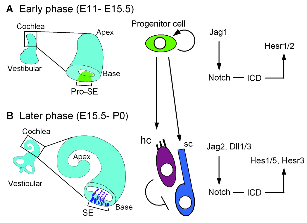 Fig. 10