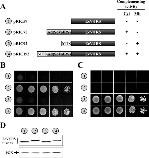 FIGURE 5.