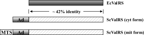 FIGURE 1.