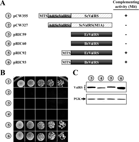 FIGURE 3.