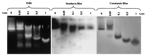 FIG. 9.