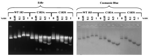 FIG. 8.