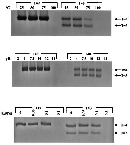 FIG. 11.