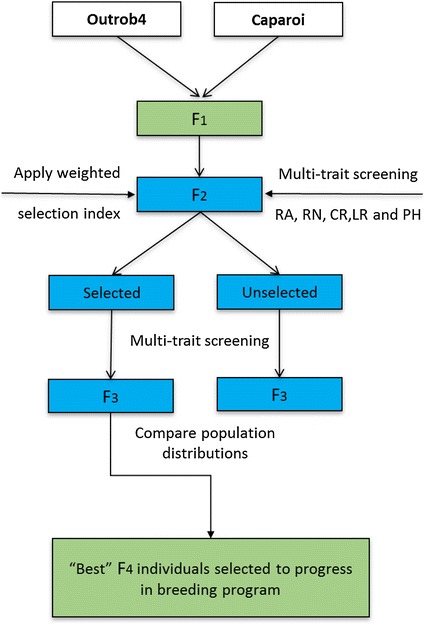 Fig. 1