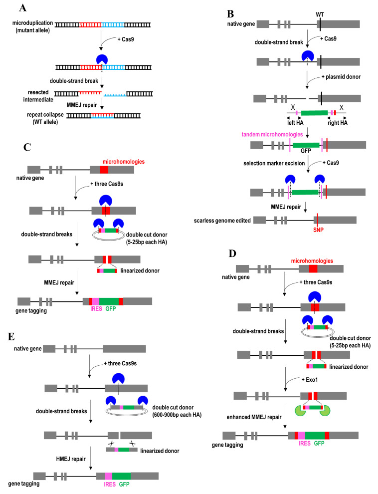 Figure 3. 