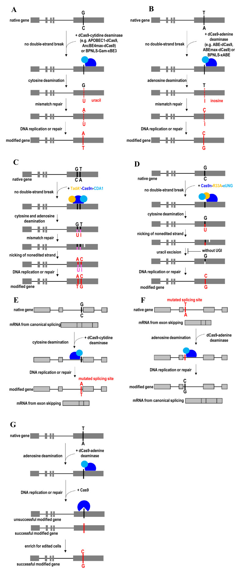 Figure 5. 