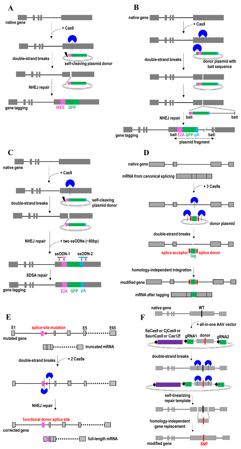 Figure 4. 