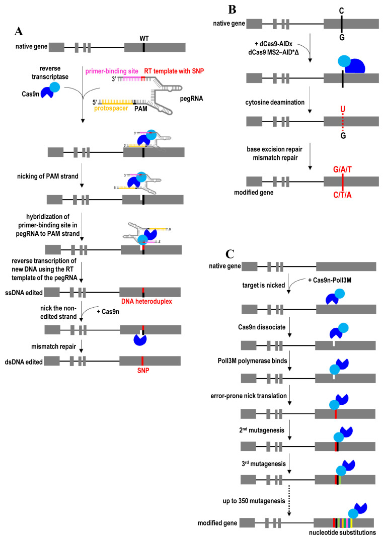 Figure 6. 