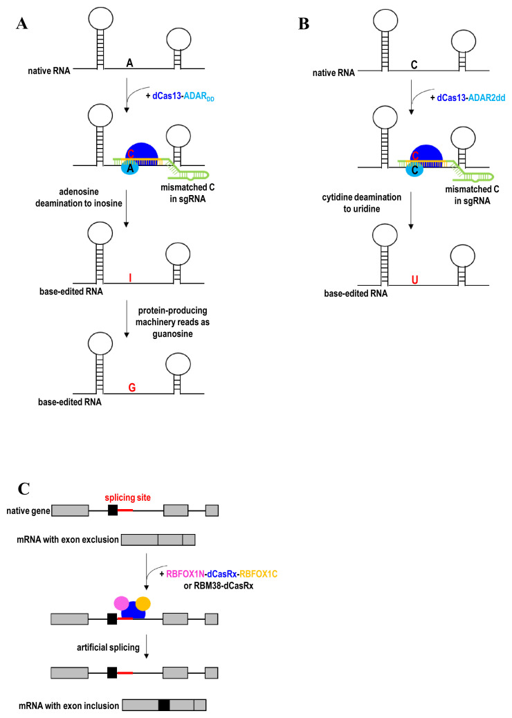 Figure 7. 