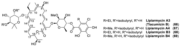 Figure 22