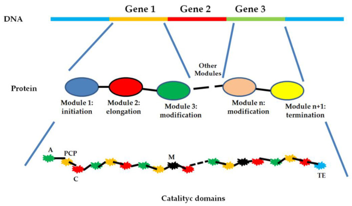 Figure 10