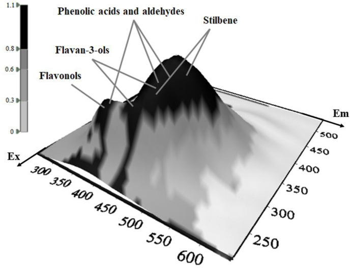 Fig. 6