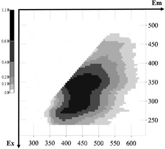 Fig. 5