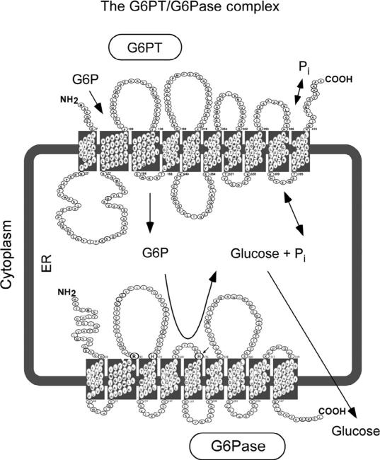 Figure 10.2