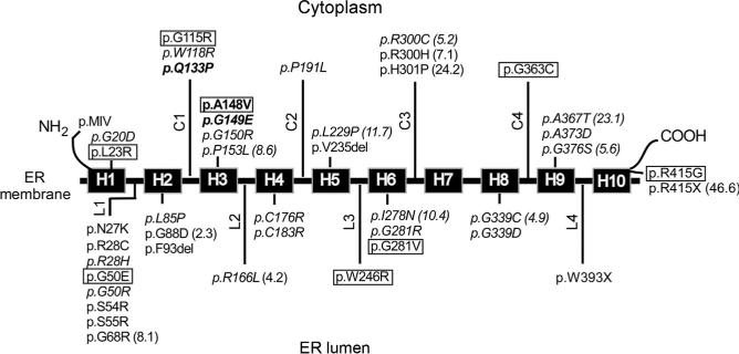 Figure 10.8