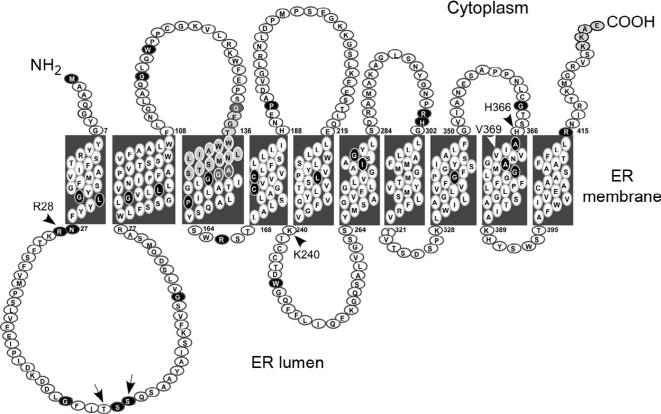 Figure 10.5