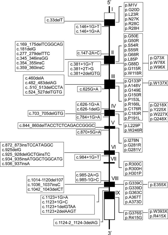 Figure 10.7