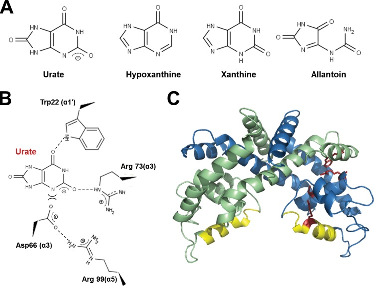 Fig 6