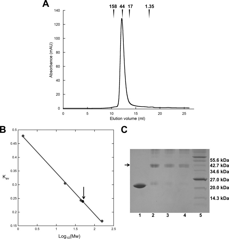 Fig 4