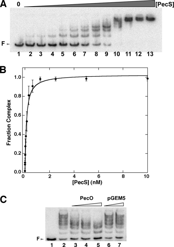 Fig 5