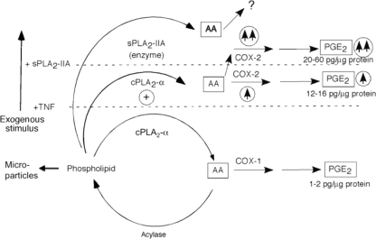 FIGURE 7.