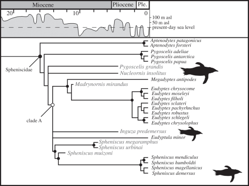 Figure 2.