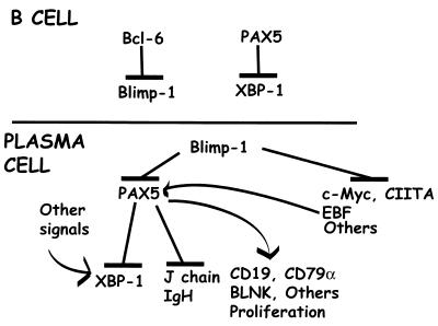 FIG. 5.