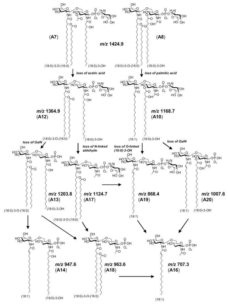 Scheme 2