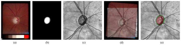 Fig. 7