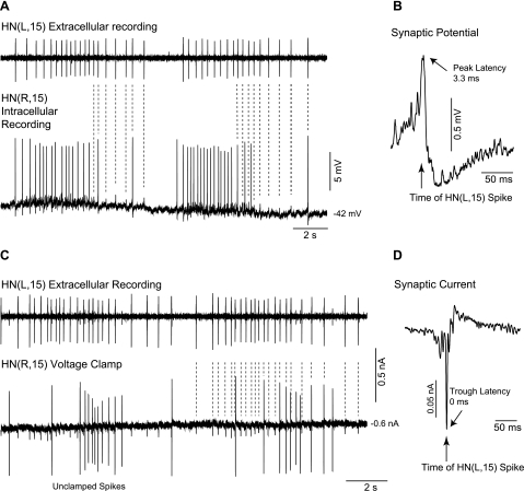 Fig. 11.