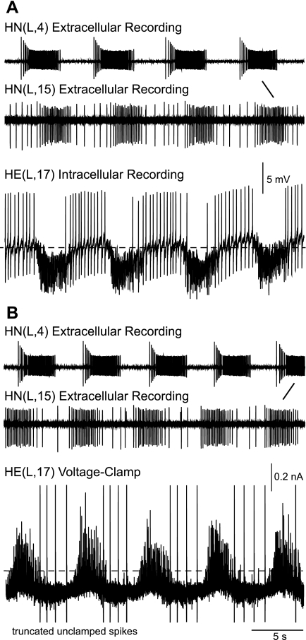 Fig. 4.