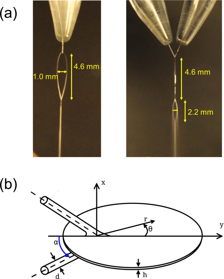 FIG. 2.