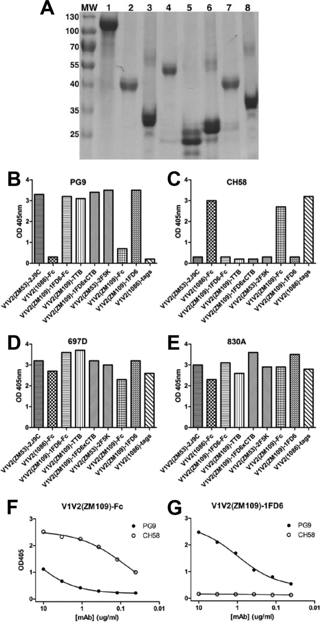 FIG 2