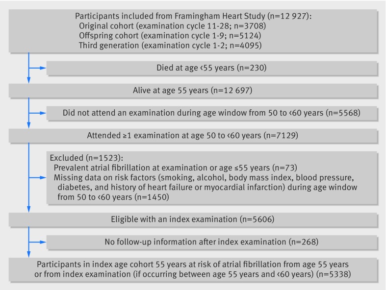 Lifetime risk of atrial fibrillation according to optimal, borderline ...