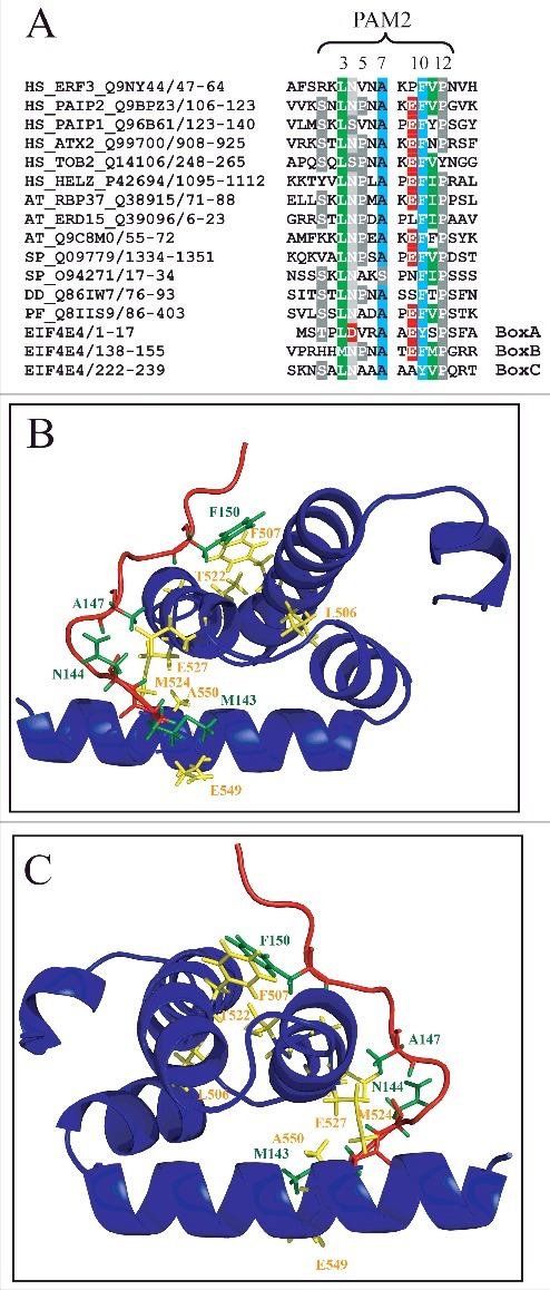 Figure 9.