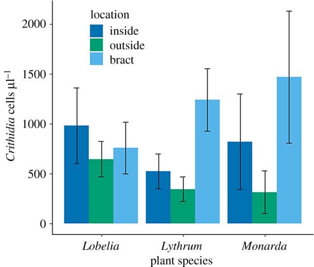 Figure 5.