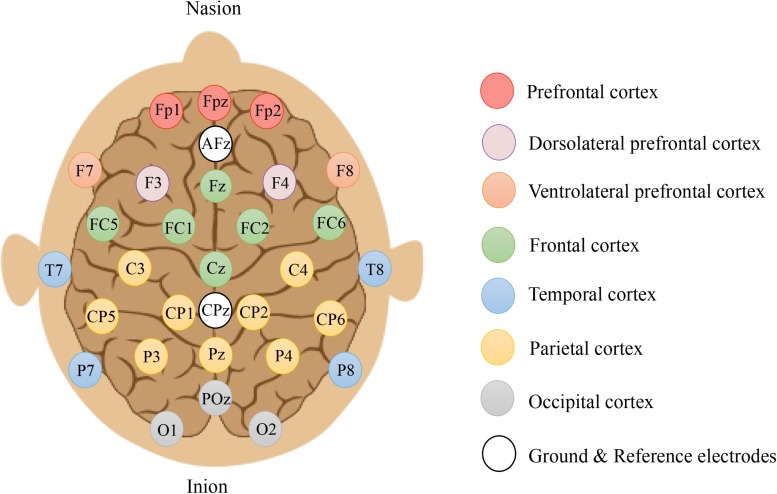 FIGURE 3