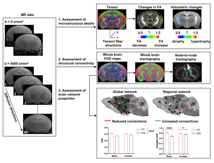 graphic file with name BioProtoc-11-22-4221-ga001.jpg