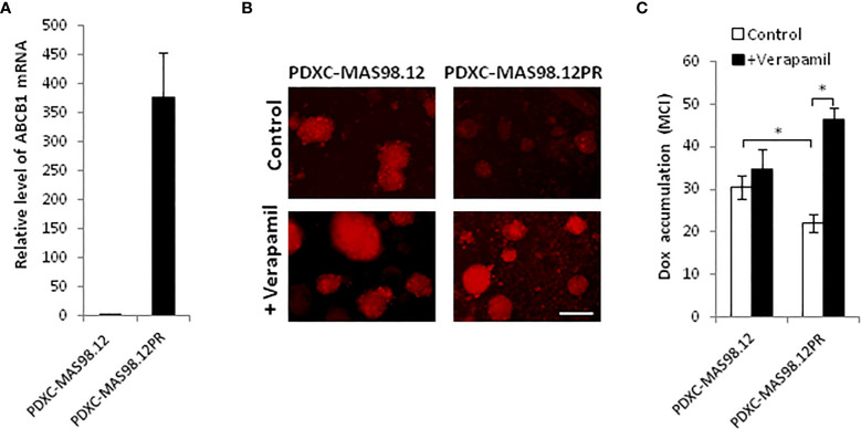 Figure 4