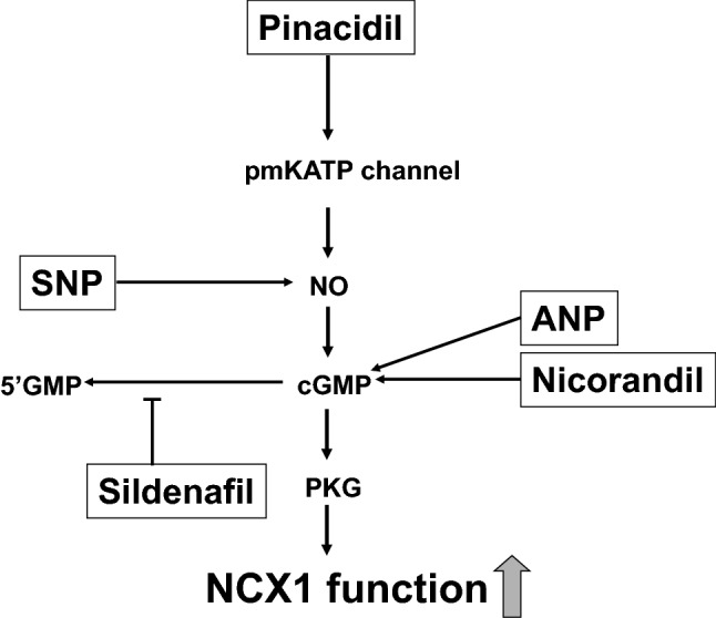 Fig. 8